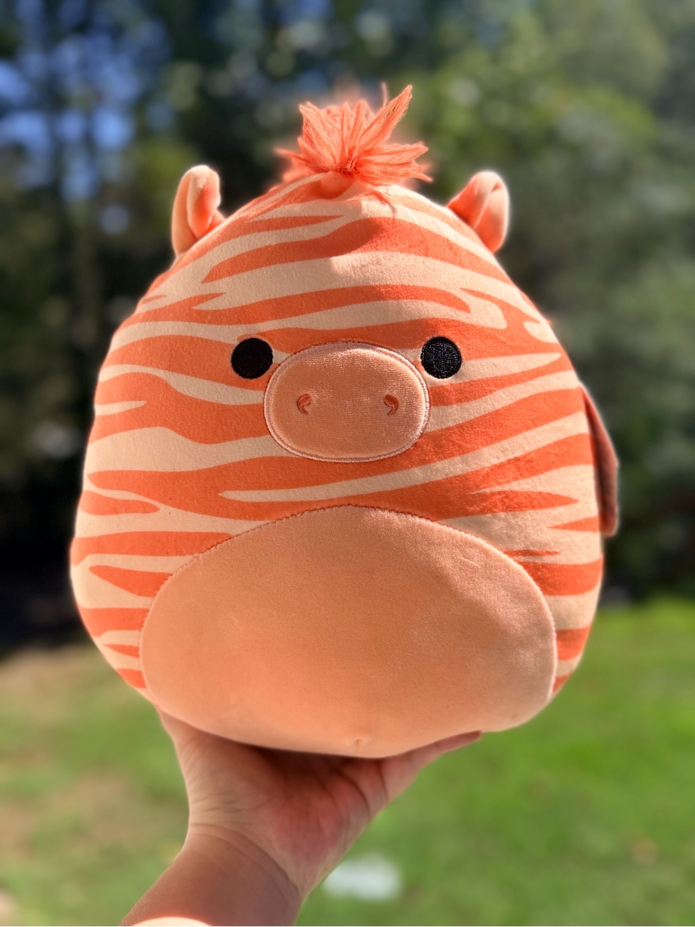 Josue the Orange/Peach Zebra
